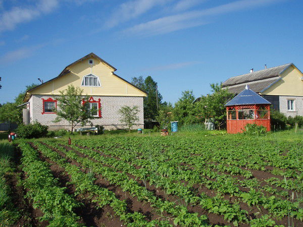 Виктор Медведев