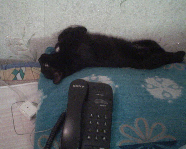 Инна Костова