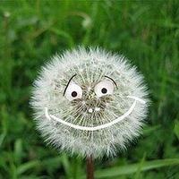 Любовь Антонова