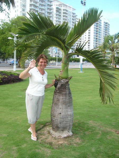 Наталья Добровольская