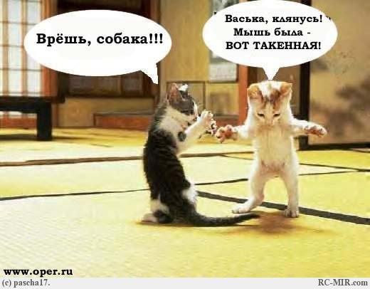 Неизвестно Неизвестно