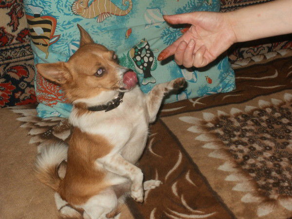 Люда Рыжкович