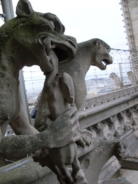 Николай Солодков