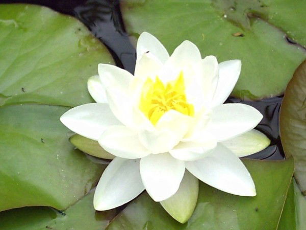 Лиля Омирбаева