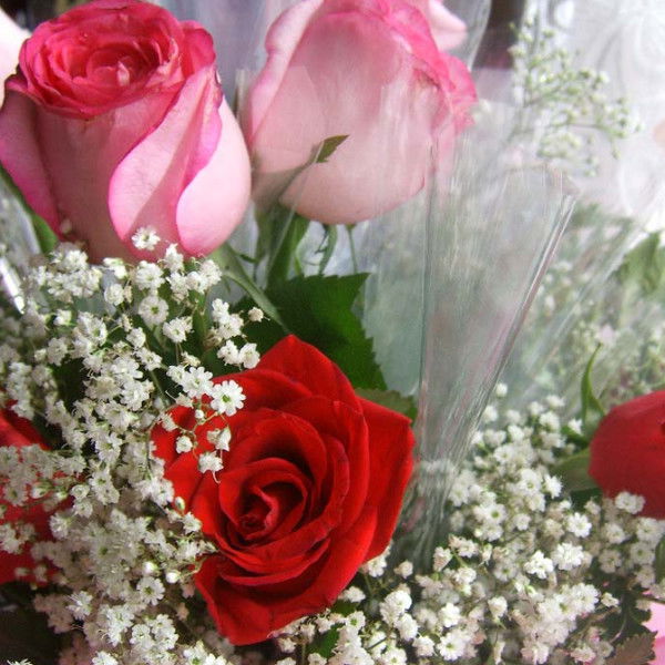 Айман Баймбетова