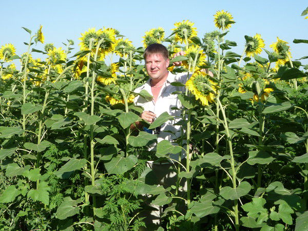 Крысов Александр