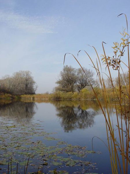 Татьяна Здор