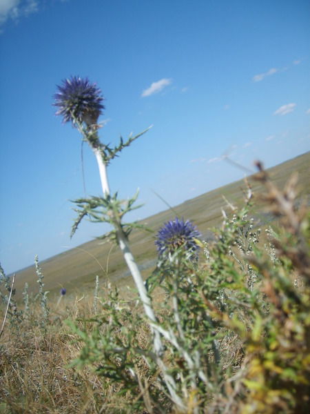 Оксана Леонова