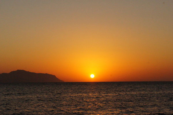 Светлана Полякова