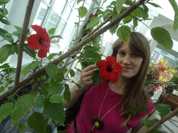 Кудряшка Сью Nes Обоятельная Дама