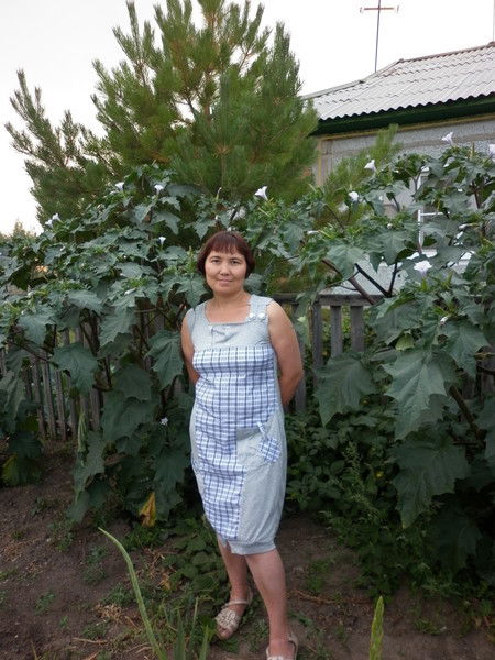 Сауле Кульчманова