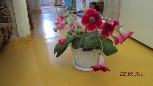 Зоя Брагина