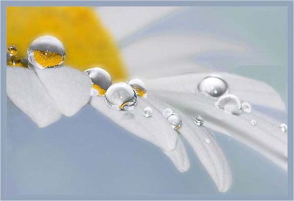 Людмила Мурза