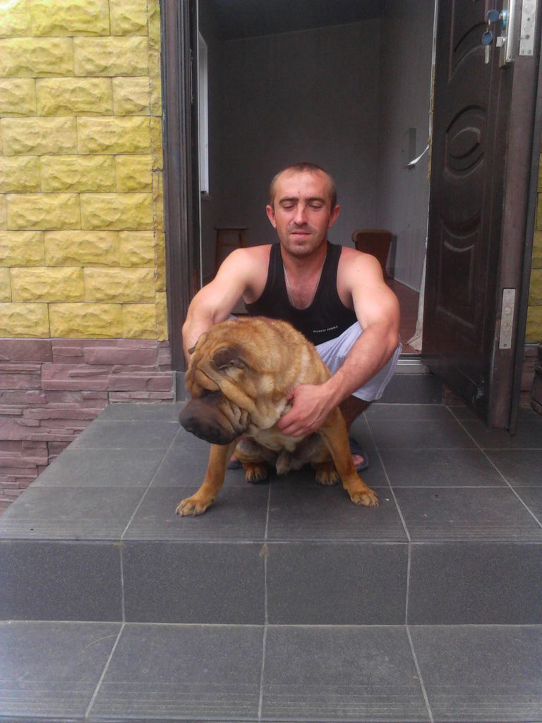 Евгений Голосков