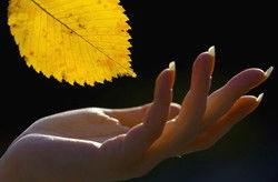 Оксана Матвеева