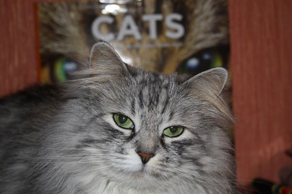 Любовь Маныкаева