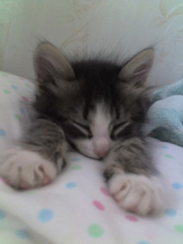 Лена Смирнова