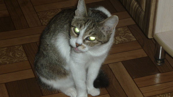 Таня Кирова