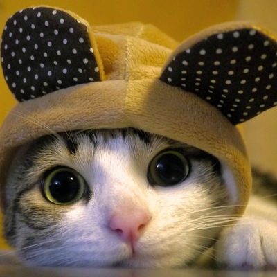 Дарья Ридель