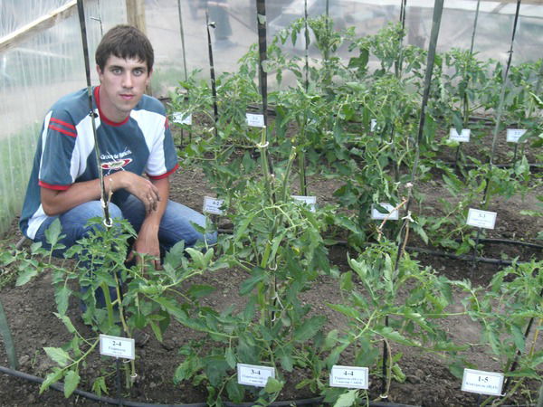 Константин Карпенко