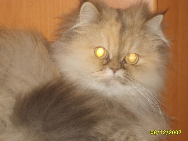 Наталия Акулинина