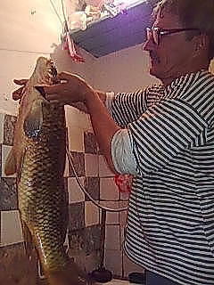 Анатолий Шевченко