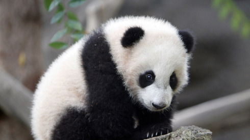 Саша Мартынов