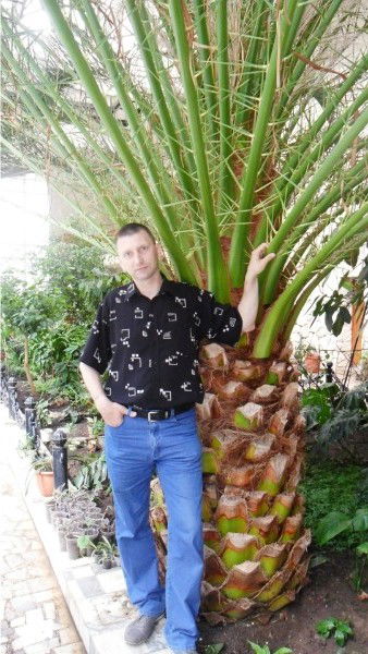 Алексей Пономарёв