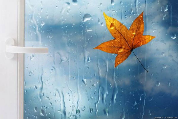 Евгений Соколов