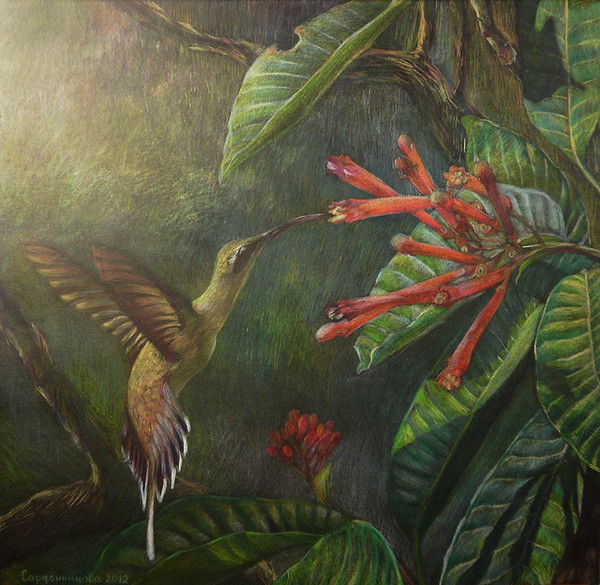 Мария Сардонникова