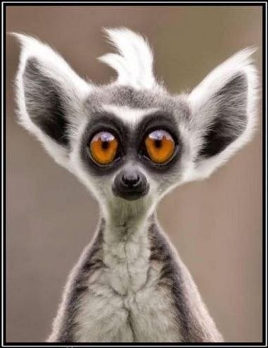 Владимир Подскребко