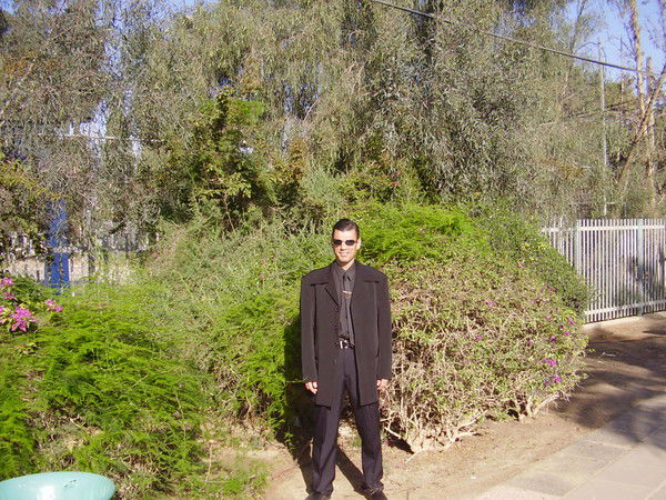 Александер Я