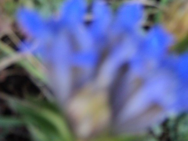 Владимир Шукшин