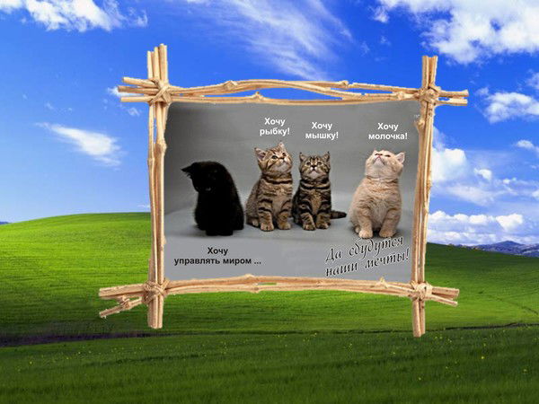 Павел Долгополов