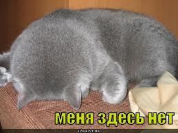 Каирденов Арман