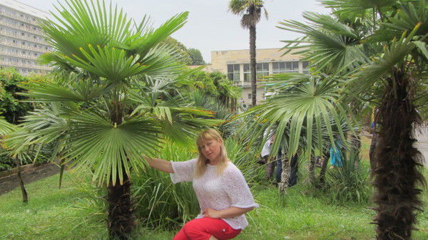 Алена Чернышева