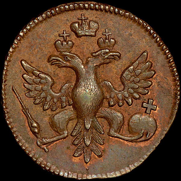 Дмитрий Каширин