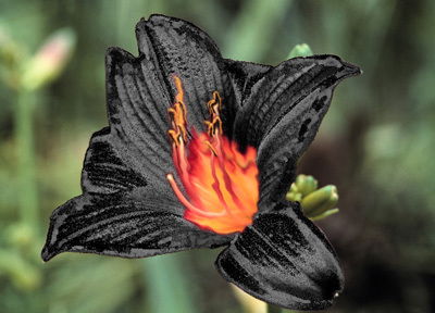 Екатерина Адаева