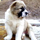 Galinka )))