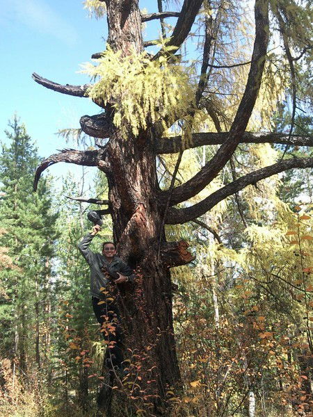 Андрей Хонгодоров