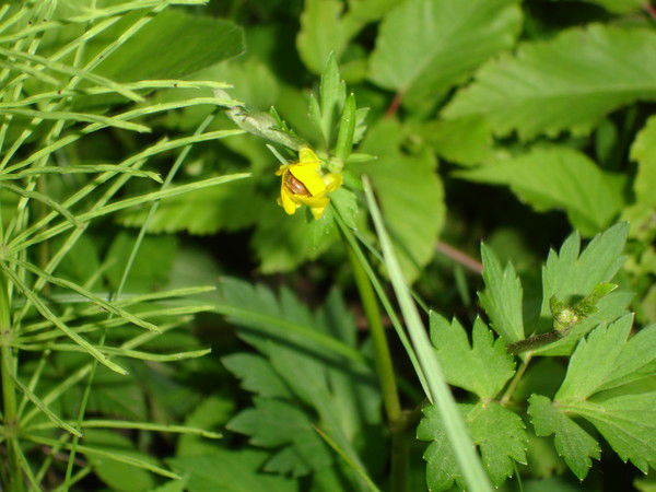 Татьяна Выставкина