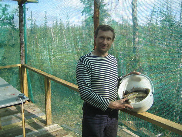 Валерий Нечитайло