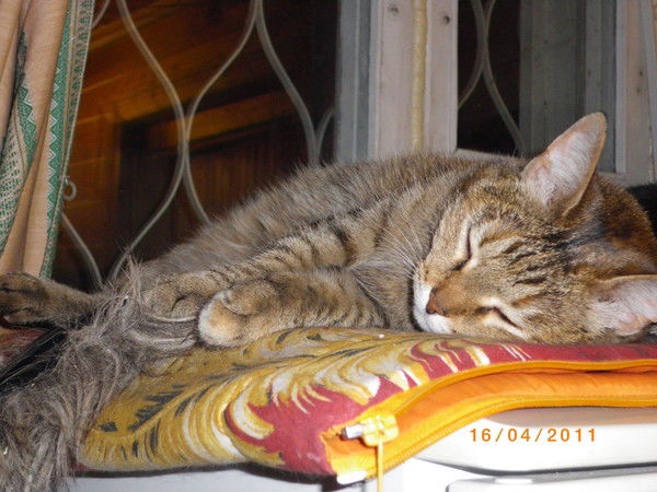 Галина Смирнова