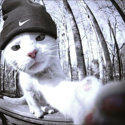 Павел Григорьев