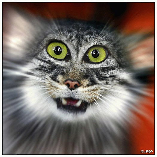 Гоша Мхитарян