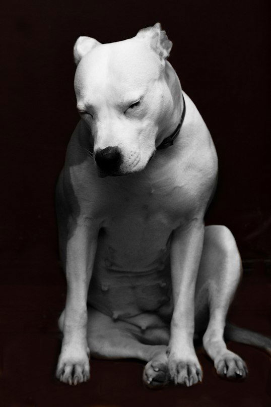 Елена Карпееева