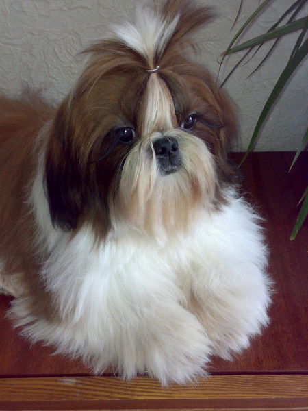 Людмила Ган