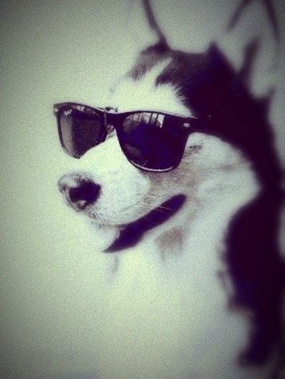 Макс Пияшов