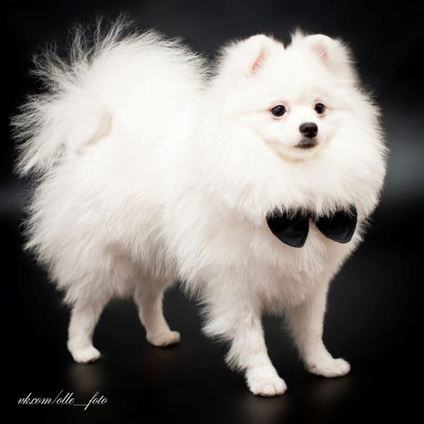 Жанна Крамская