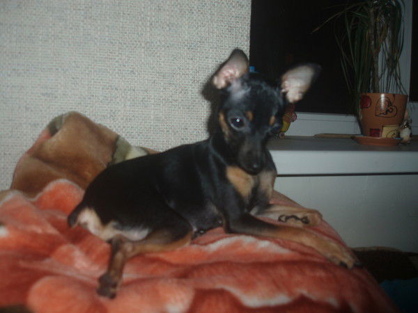 Светлана Мельник